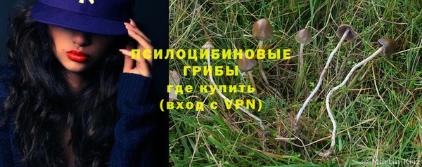 гашик Аркадак