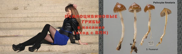 дмт Арсеньев