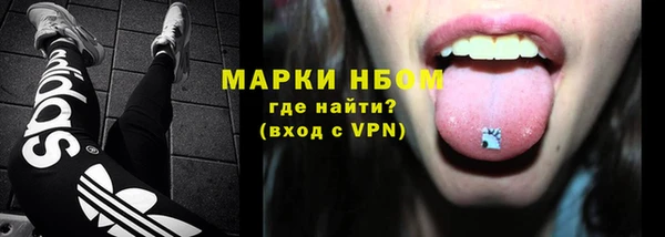 гашик Аркадак