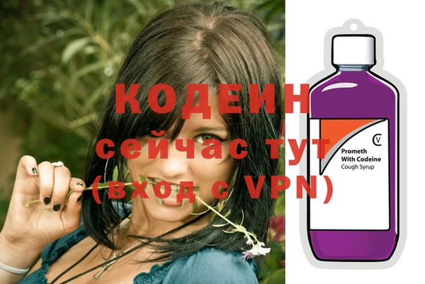 гашик Аркадак