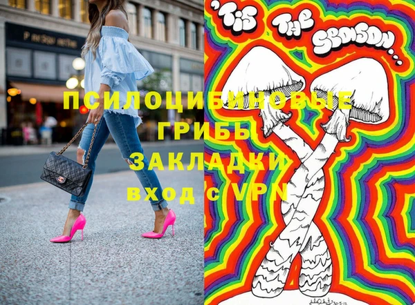 гашик Аркадак