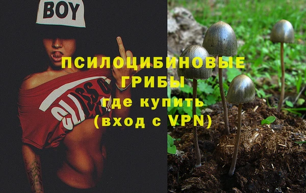 марки nbome Алексеевка