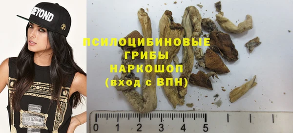 дмт Арсеньев
