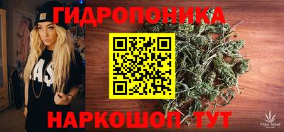 прущие крисы Можга