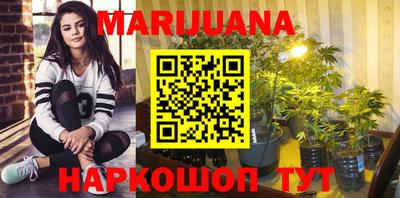 прущие крисы Можга