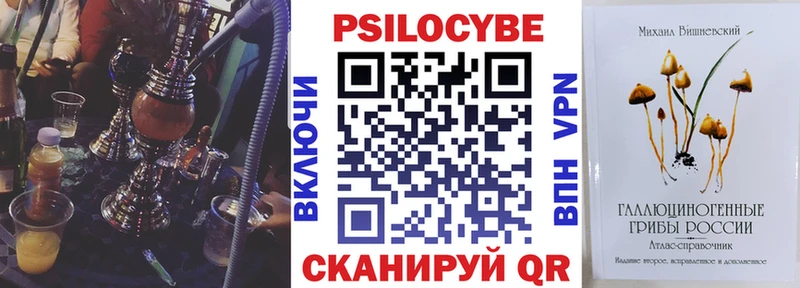 где купить наркоту  Фролово  Псилоцибиновые грибы прущие грибы 