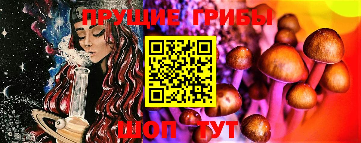 Галлюциногенные грибы мицелий  Вход с VPN  Фролово 